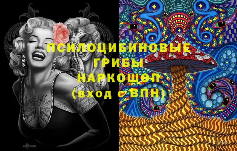 купить  цена  Белоярский  Псилоцибиновые грибы Magic Shrooms 